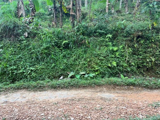Jual tanah di kemuning, ngargoyoso, karanganyar kabupaten karanganyar