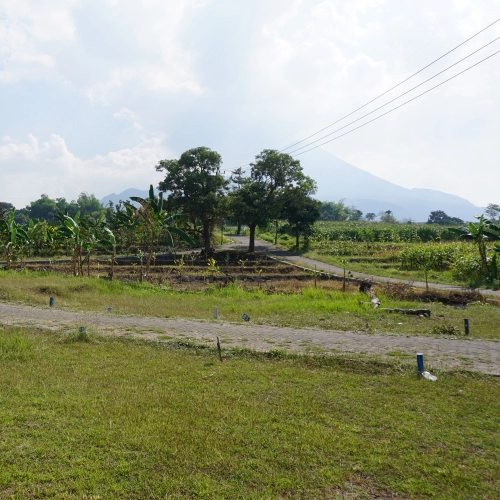 Jual tanah di sumber suko kabupaten pasuruan