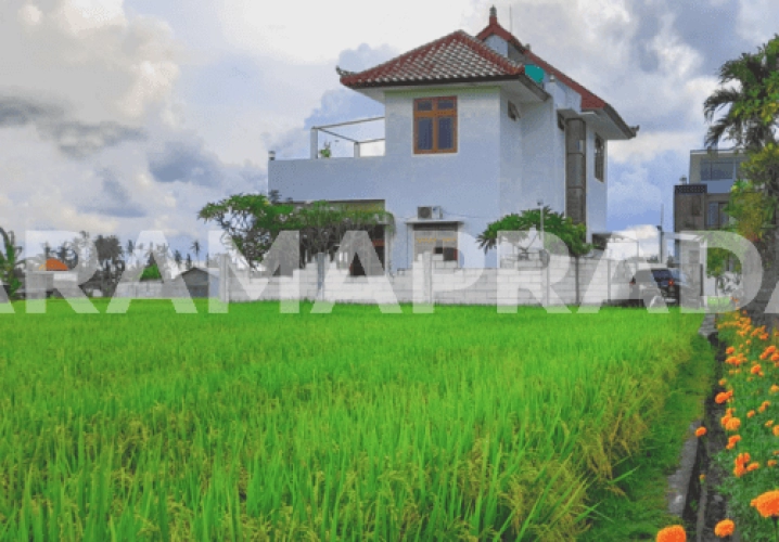 Sewa Jangka Panjang Min 10 Tahun Rumah Semi Villa 4 Kamar Pantai Purnama Sukawati Gianyar
