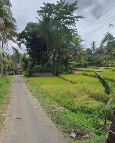 Tanah dijual di pejeng kawan tampaksiring ubud gianyar bali indonesia kabupaten gianyar