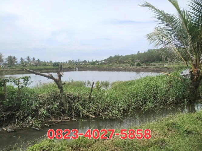 Tanah dijual di candikusuma, melaya, kabupaten jembrana, bali