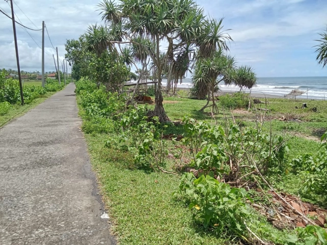 Jual tanah di pantai medewi jembrana negara bali indonesia kabupaten jembrana