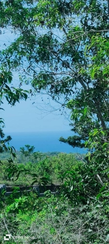 Tanah Ocean View Jln Pantai Balangan Jimbaran Badung Bali