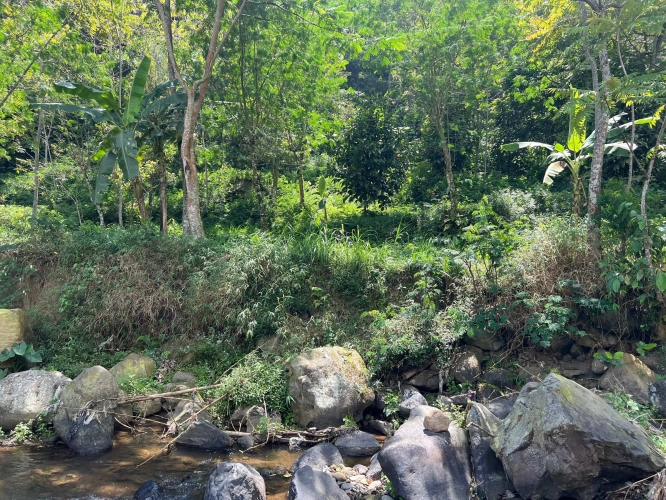 Jual tanah di jenawi kabupaten karanganyar